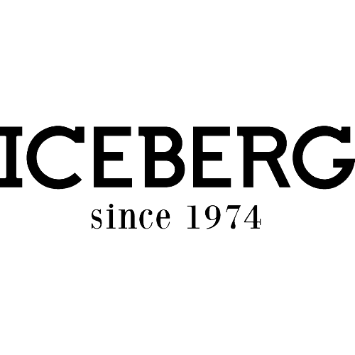 Iceberg